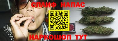 ГАЛЛЮЦИНОГЕННЫЕ ГРИБЫ Канаш