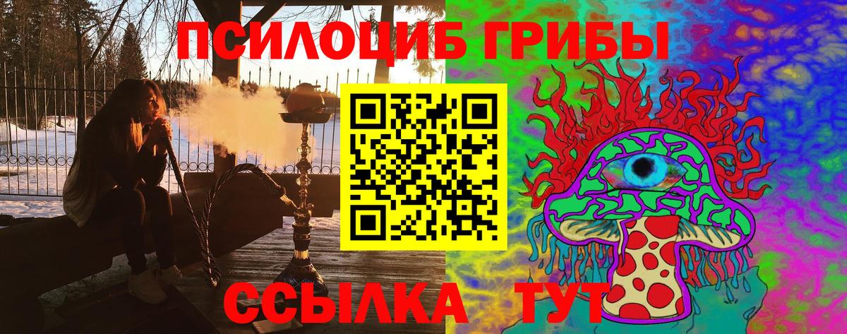 продажа наркотиков  Вход с VPN  Кушва  Галлюциногенные грибы мухоморы 