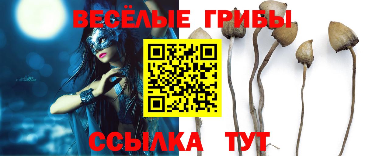 Псилоцибиновые грибы MAGIC MUSHROOMS Кушва