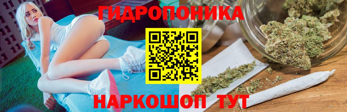 Каннабис OG Kush  Бошки Шишки планчик  Кушва  Вход с VPN  Марихуана THC 21%  Шишки марихуана планчик 